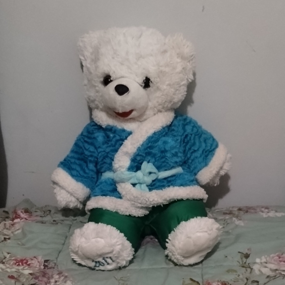 2017 Plush Teddy Bear in Blue and Green Outfit